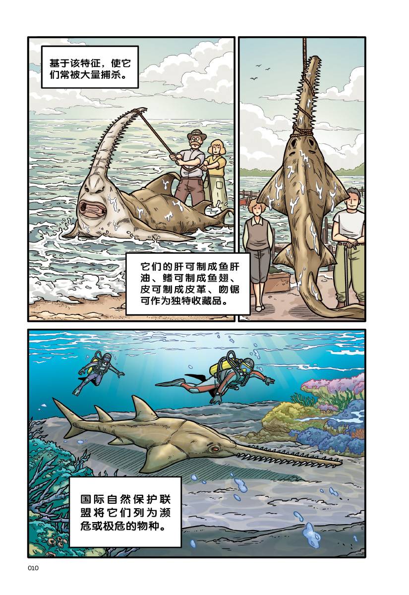 X探险特工队万兽之王III系列04：腕擒锯刃：北太平洋巨型章鱼VS栉齿锯鳐