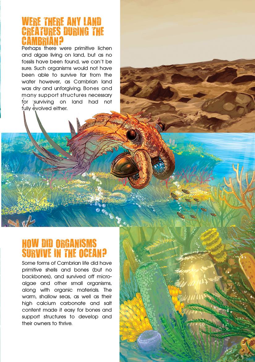 X-VENTURE Dinosaur Kingdom 01: Prehistoric Pioneers (Revised Edition)