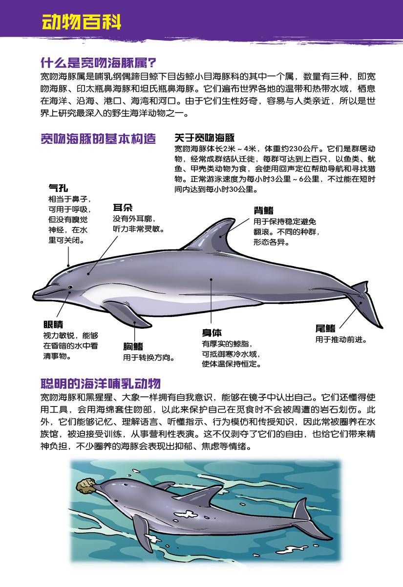 X探险特工队万兽之王IV 03：怒海冲袭：宽吻海豚VS 蓝鲸VS 巨齿鲨