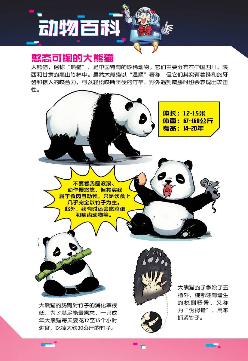 X探险特工队万兽之王系列特别版：万兽争霸赛：胜者为王1.0
